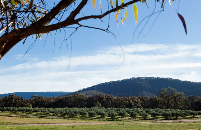 Eco-luxe at Mount Avoca - Foto 18