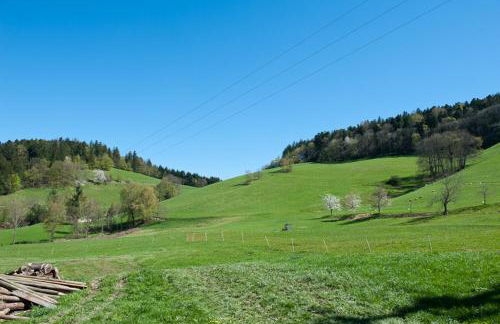 Chalet Stahl - Ferienhaus mit Pool - Foto 11