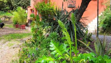 La Salamandre,Charmant T2 Calme et nature à Puget-Ville - Foto 2