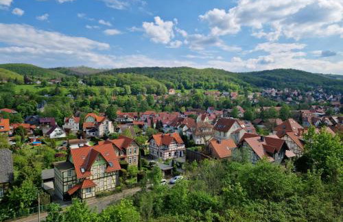 Apartments Villa-Ratskopf Wernigerode - Photo 131