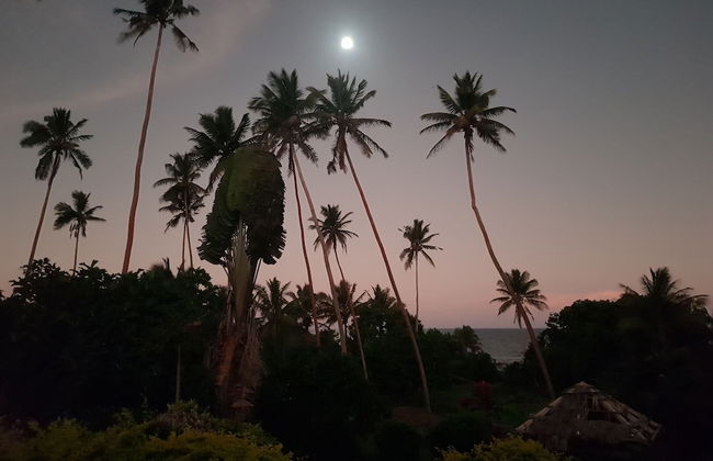 Fiji Lodge Vosa Ni Ua - Photo 31