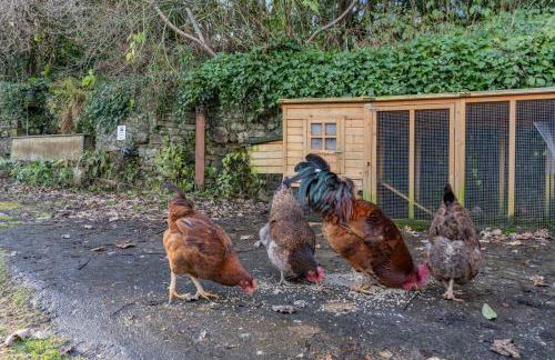 2 Bed in Llandetty oc-b30634 - Photo 26