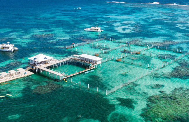 Paseo en barco y snorkel en Marinarium - Foto 1