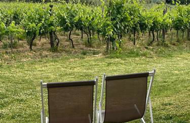 Agriturismo San Jacopo - Foto 30