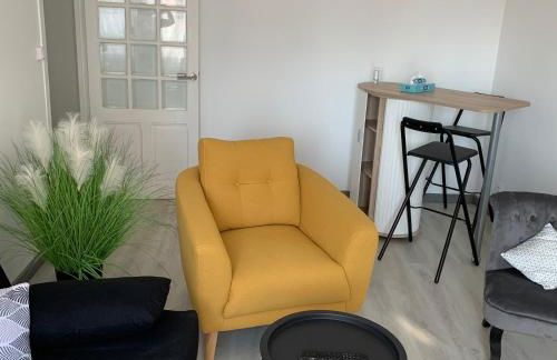 Appartement 4 PERSONNES EMPLACEMENT IDEAL PROCHE DES 24H ET GARE - Foto 13