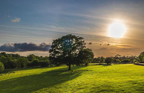 Cherry Blossom Cottage in Kettlesing - Photo 18