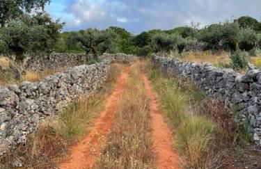 Casa Valverde - Foto 52