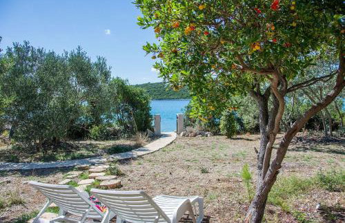 House Divna - Photo 9