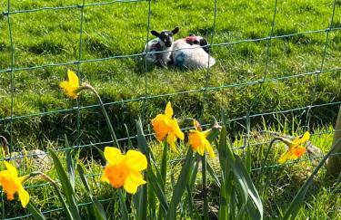 Sea View Farmhouse - Foto 53