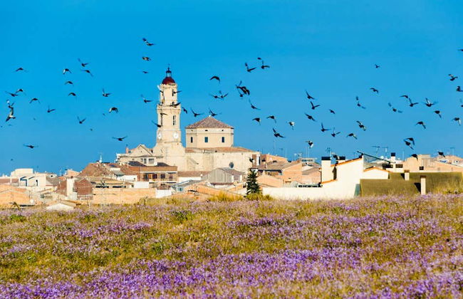 Borjas Blancas Guided Tour - Photo 7