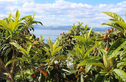 Apartments Solta - Foto 38