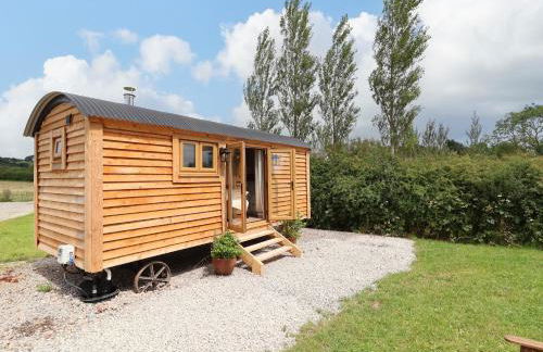 Cariad Mawr - Photo 2