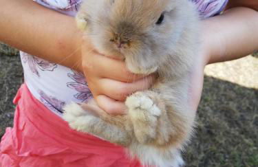 Mariolas Tinyhouse - Foto 38