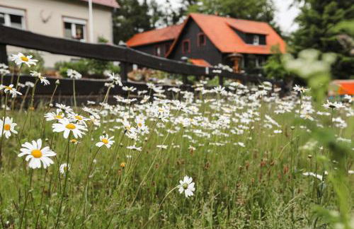 Sternenblick Lodge, im Harz, mit Schwimmbad und Sauna - Foto 41