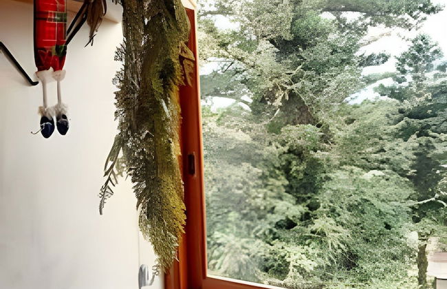 Siga Gramado - Centro e Lago Negro a pé - Photo 52