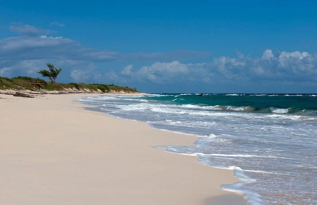 Buttonwood Reserve Main Lodge 1 Bedroom Home - Foto 21