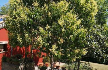 Villa Giulia, a splendid farmhouse in the Marche region - Foto 65