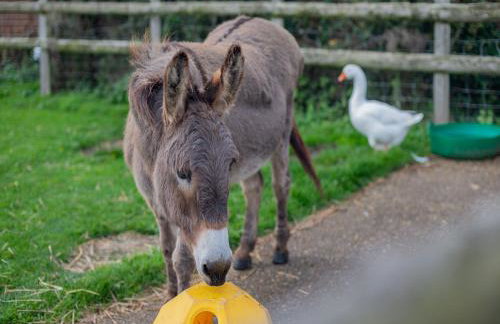 Purbeck View - Uk36320 - Photo 12