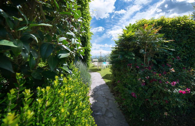 Casa Vacanze con piscina a San Gimignano - Foto 76