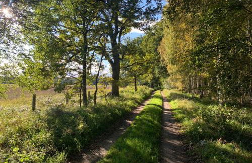 Ferienvilla Jagdschloss Friedrichsmoor - Foto 37