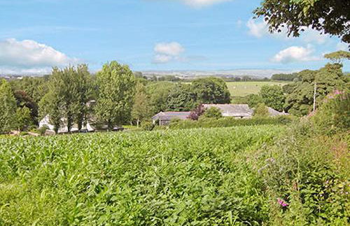 Dove Cottage - Foto 20