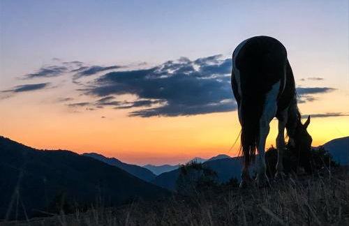 Il Borrino - Foto 22