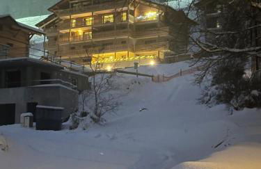 Snow Roc Mountain View - Photo 2