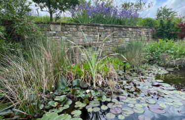 Agriturismo Poderi Zunino - Foto 71