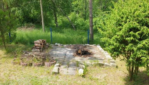 domki nad jeziorem, las, do 10 osób jezioro Wilczyńskie Budzisławskie - domek letniskowy osobno ogrodzony, ogrzewany mile widziane pieski, zwierzeta- wielkopolska, 62-550 Zygmuntowo gm Wilczyn - Foto 5, Garden, Garden view