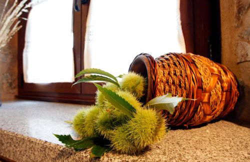 Apartamento Puerta del Sol de 1 habitación - Foto 10