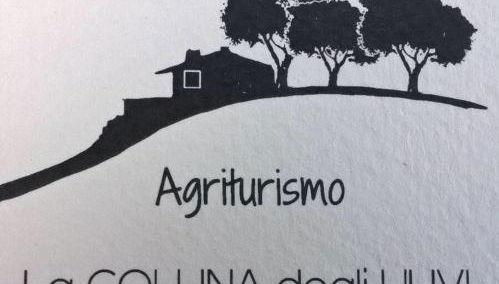 La Collina Degli Ulivi - Foto 4