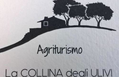 La Collina Degli Ulivi - Foto 4