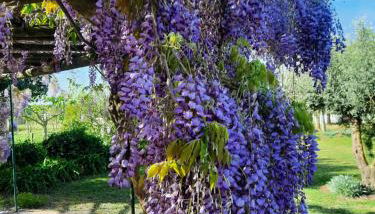 Tranquilidade Alentejana - Photo 2