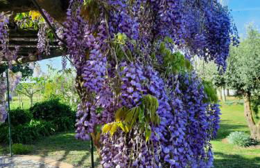 Tranquilidade Alentejana - Foto 2