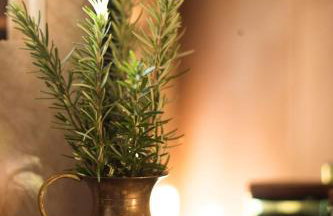 Green Hills Cottage with Pool & Magnificent View - Foto 41