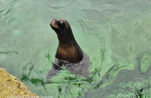 Familienfreundliche FeWo für 6 Personen - Photo 20