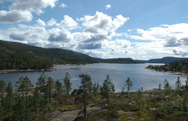 Fjellheimen - Foto 21