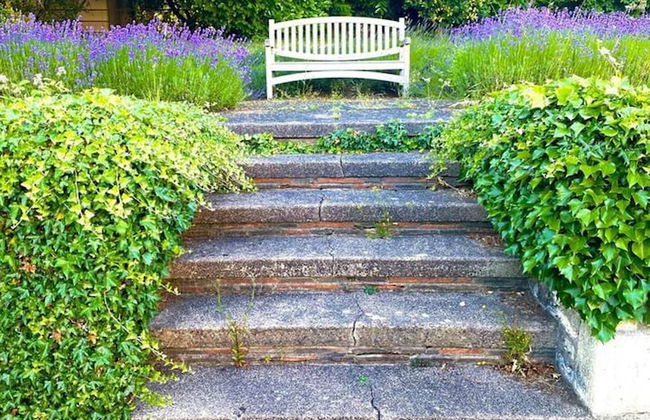 Idyllic Country Retreat With Wow Views & Lush Pool - Foto 74