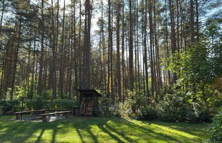 Chata przy lesie - Foto 7