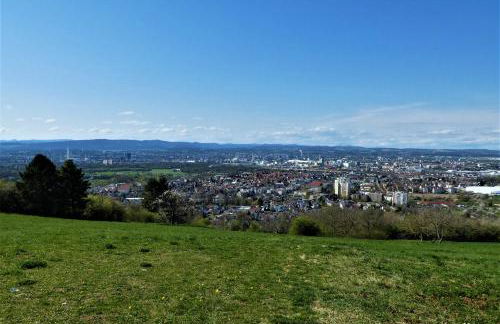 Baselblick - Foto 20