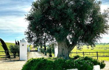 Herdade da Boavista - Foto 61