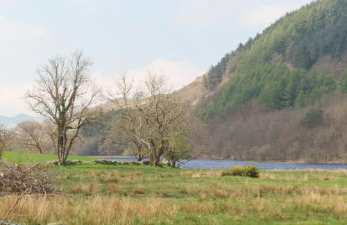 Gilfachwydd - Foto 45