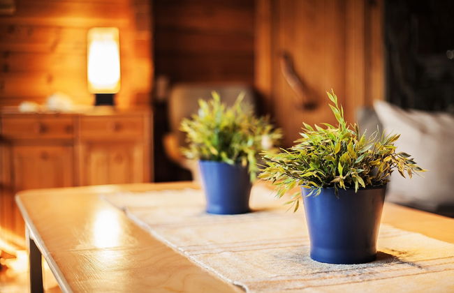 Villa Skitunäs - Photo 25