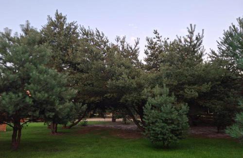 Chill na Skrzynce - Foto 37