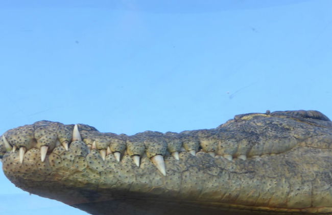 Le Jardin aux Etoiles - Foto 63