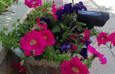 Casa De Madera, A home from home. - Foto 42