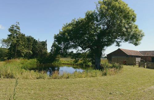 Wood Farm Dairy - Foto 19