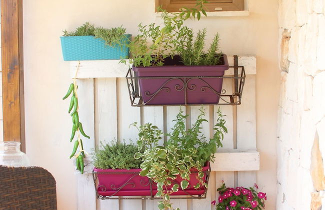 Trullo Madia with Shared Hot Tub in Nature - Foto 33