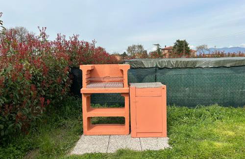 Chicco di grano - Photo 29