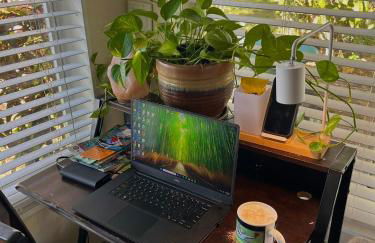 Bellas Bungalows - Foto 4